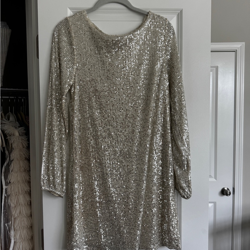 Z Supply Shimmering Silver Sequin Top